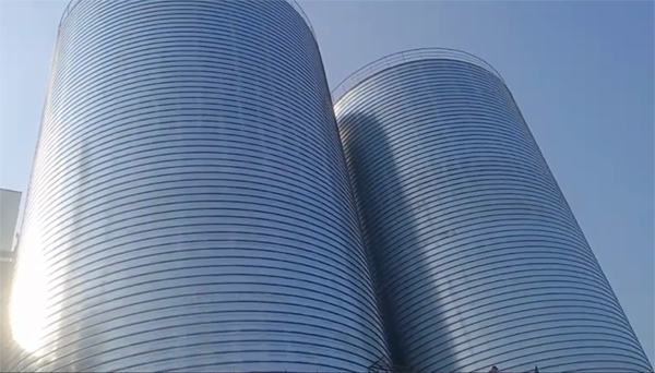 龙港2座混凝土高架卷板仓